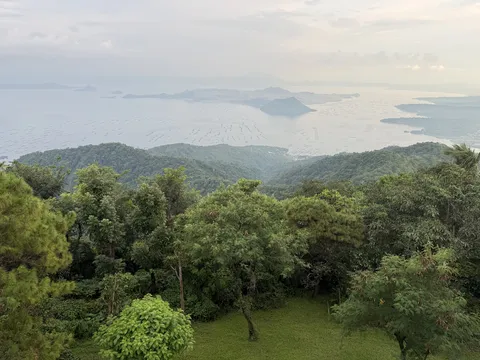 자숙의 시간.