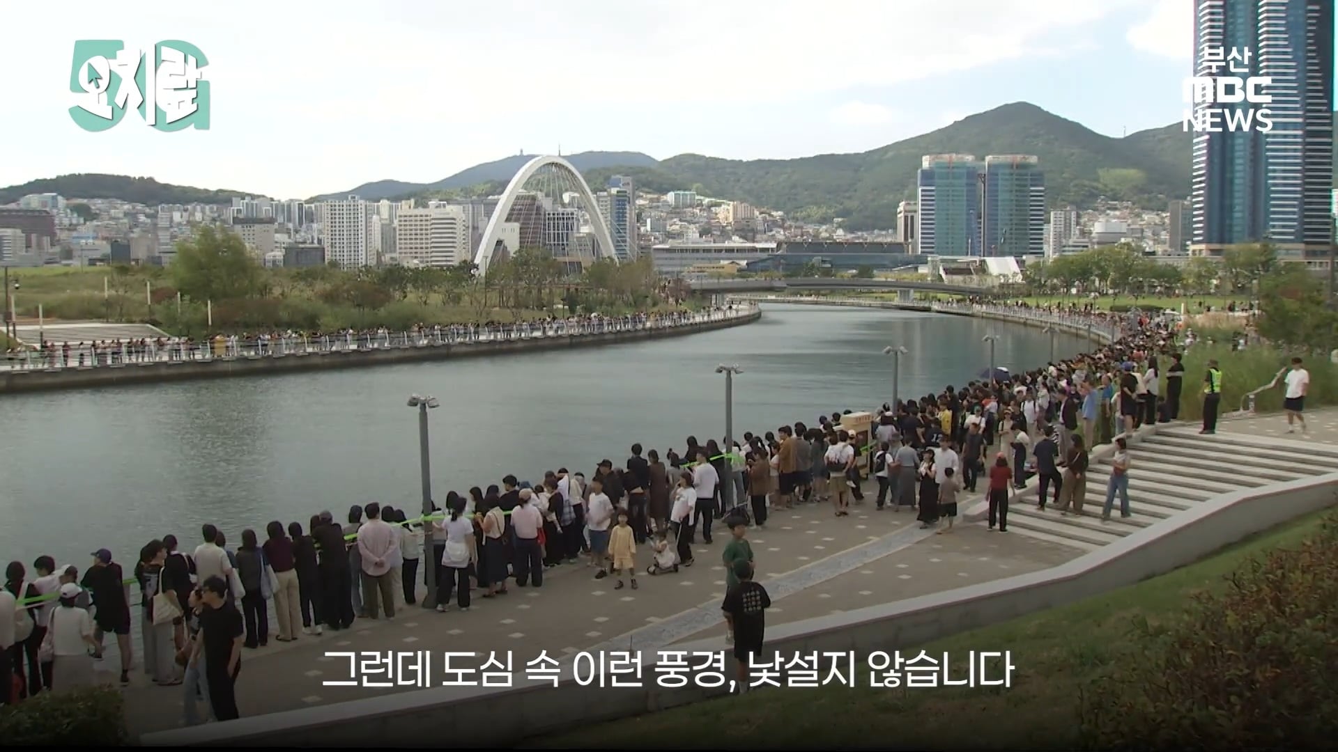 부캉이 선배인 부산 온천천 수달이