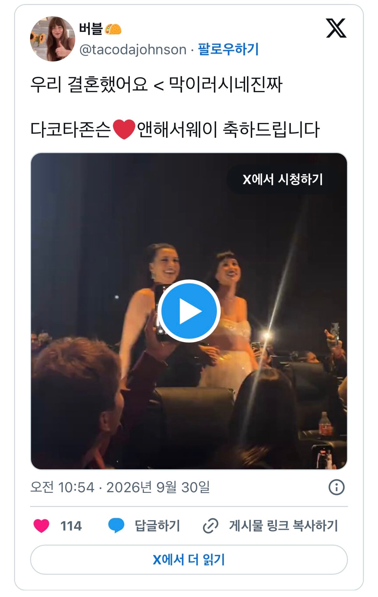 다코타 존슨이 웃음벨인 것 같은 앤 해서웨이