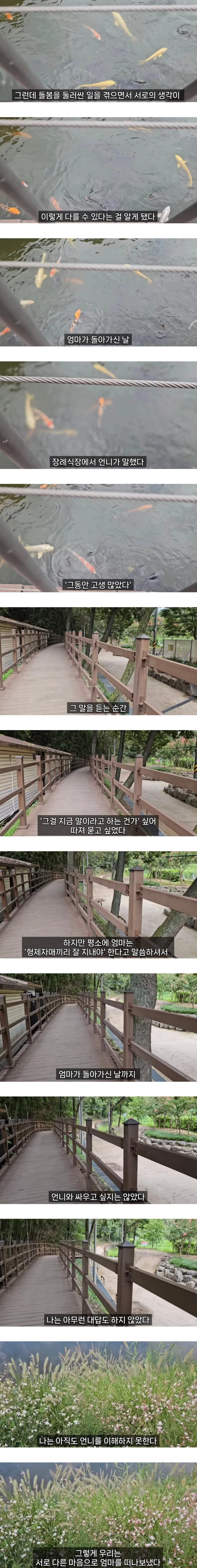 엄마를 돌보면서 자매도 남이 될 수 있다는 걸 알았다.jpg