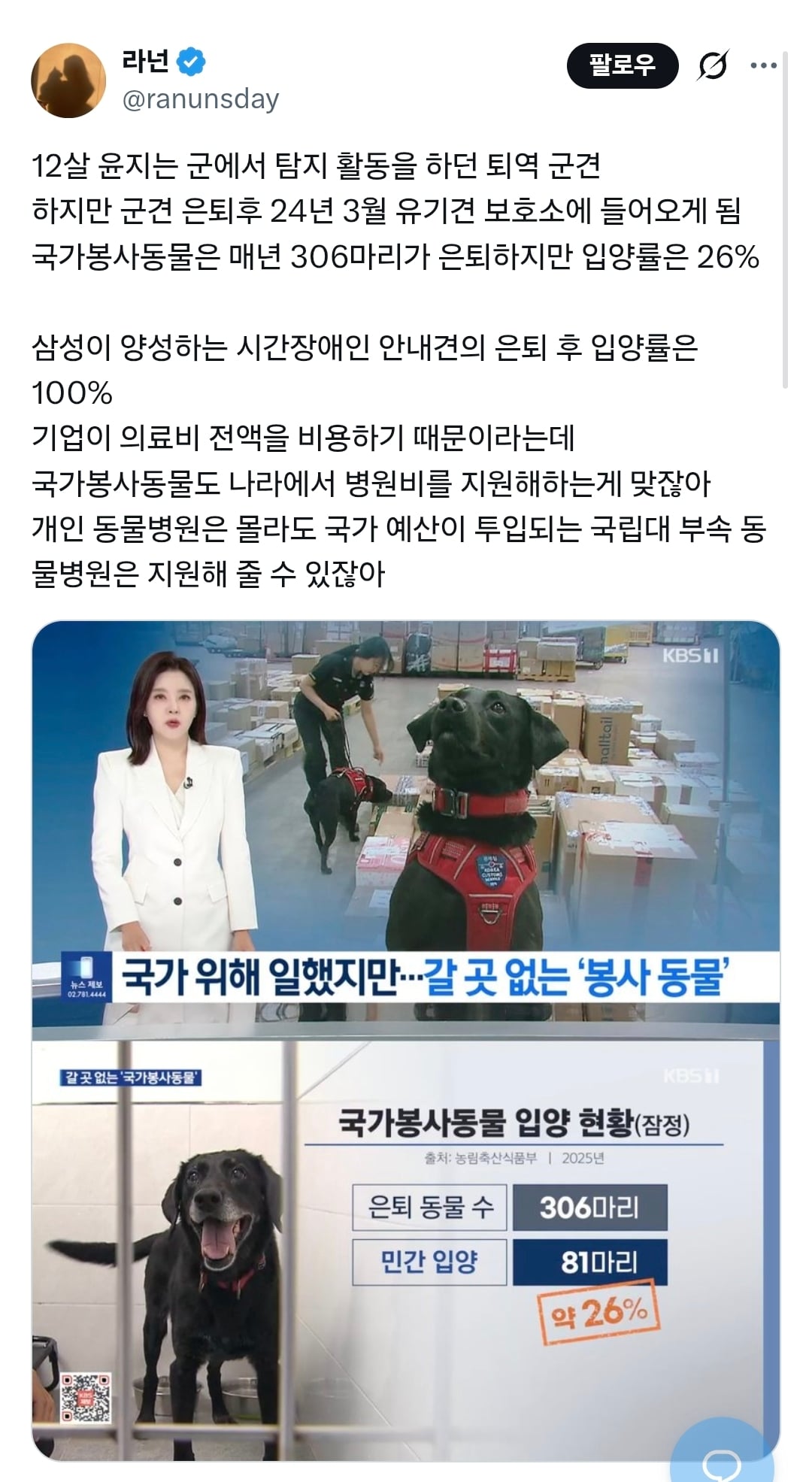 국가 위해 헌신한 군견들이 유기견 보호소에 들어감