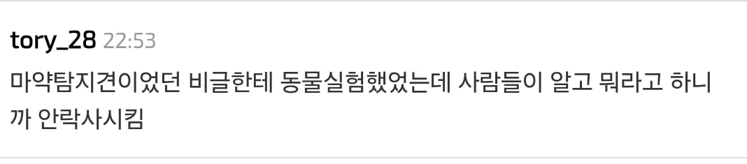 국가 위해 헌신한 군견들이 유기견 보호소에 들어감