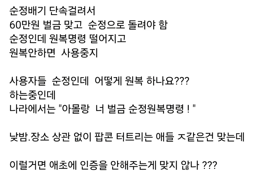 현재 현대N 차주들 상황