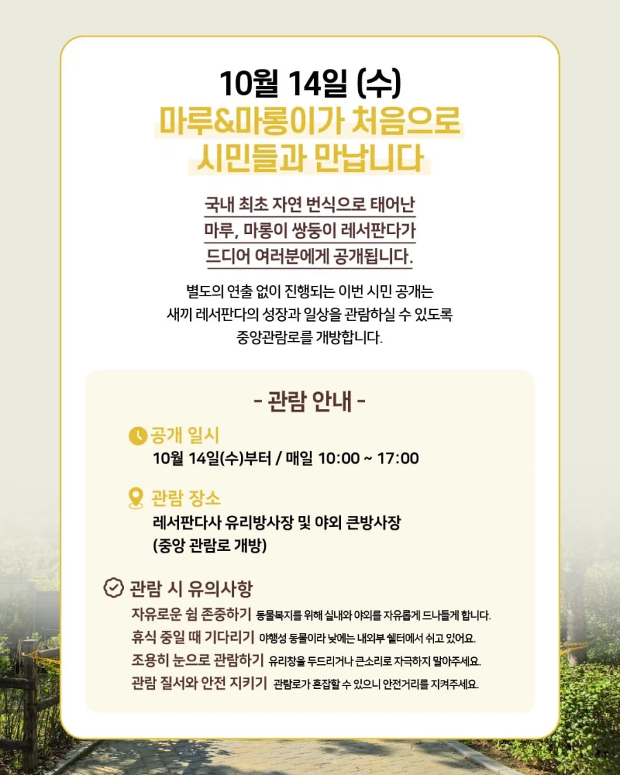 이번 주 서울대공원에서 공개하는 흉폭한 맹수.jpg