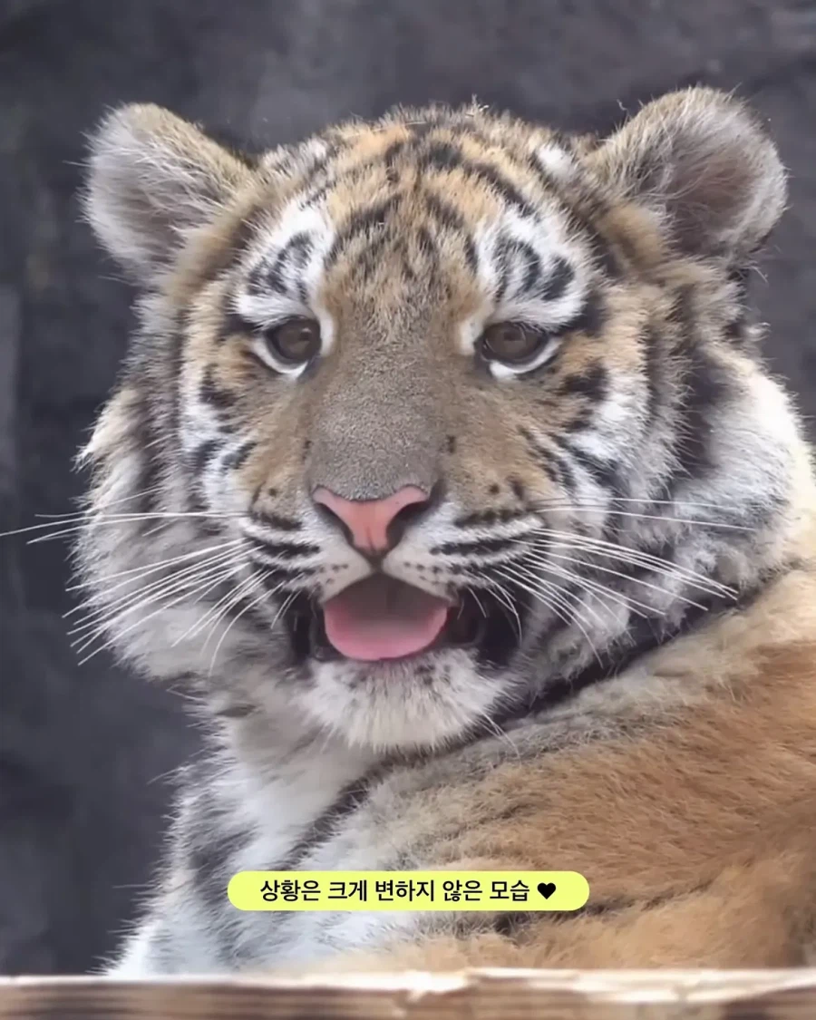 가족들과 다른 외모.jpg