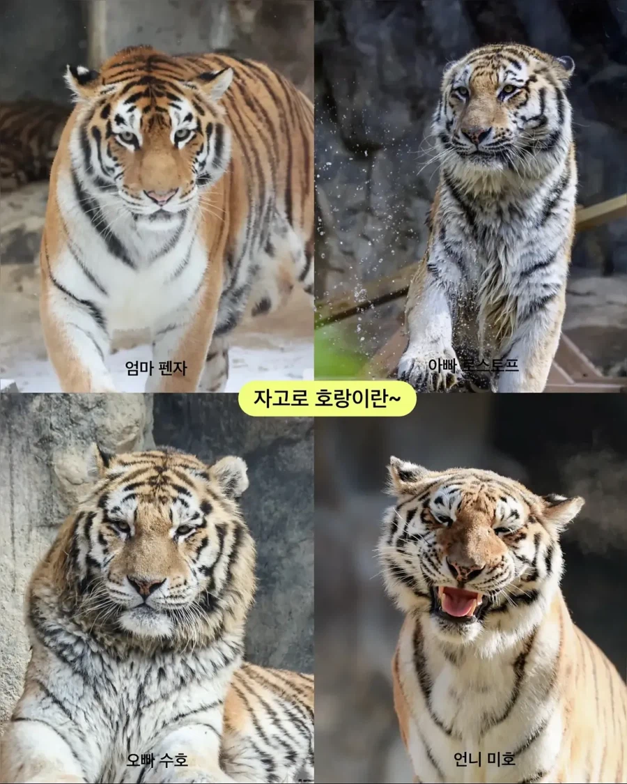 가족들과 다른 외모.jpg