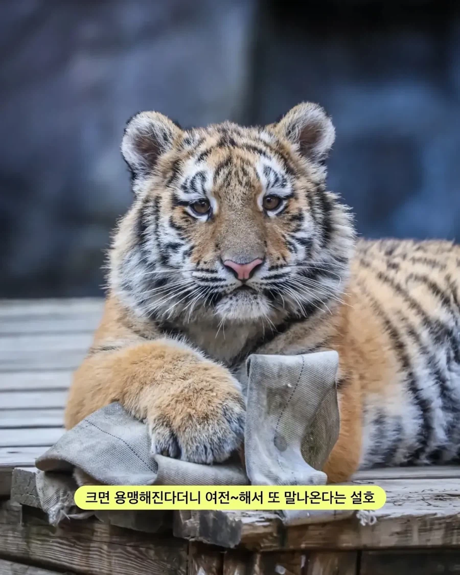 가족들과 다른 외모.jpg