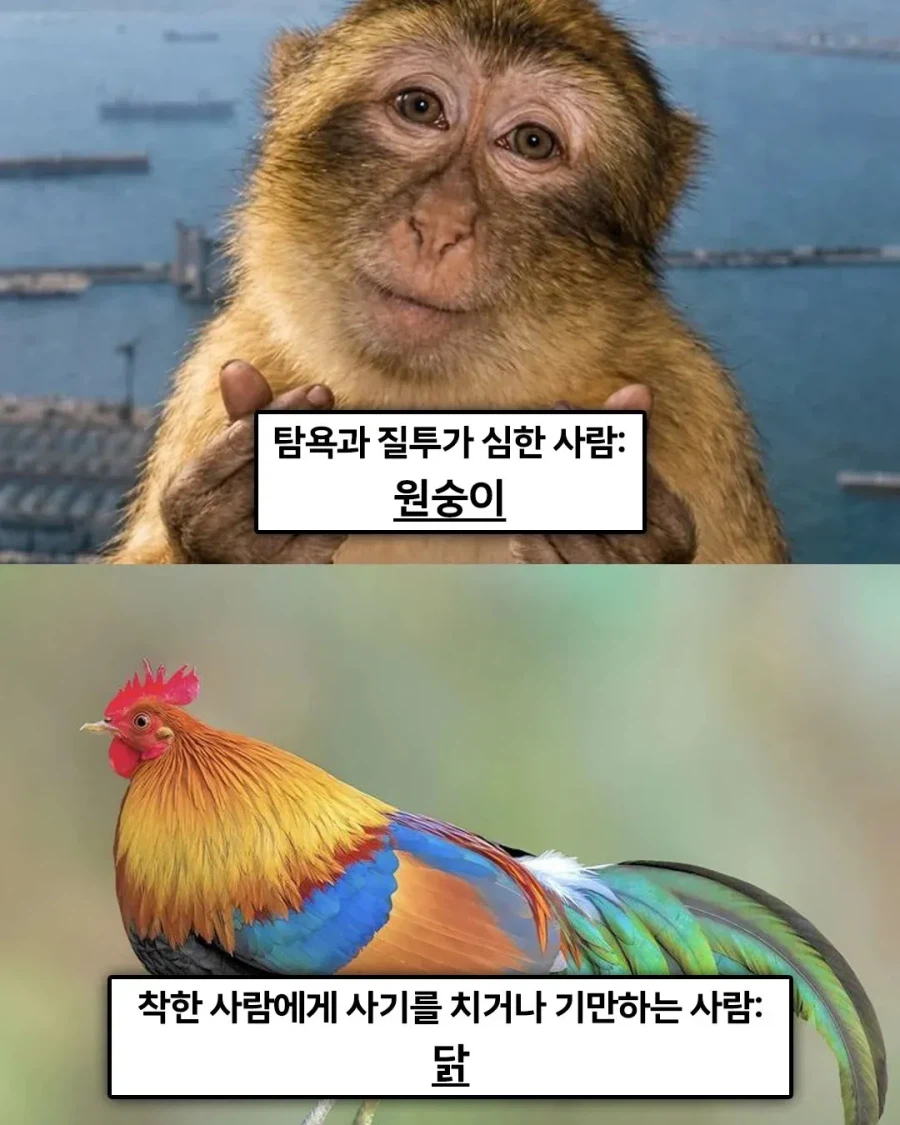 불교 세계관 “죄를 지으면 다음 생으로 태어나는 동물”.jpg