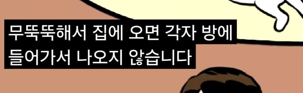 '고양이털 알레르기' 아들에게