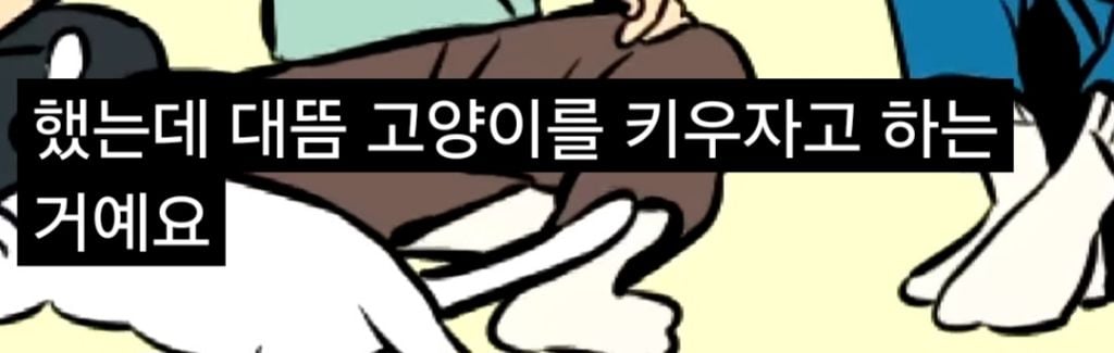 '고양이털 알레르기' 아들에게