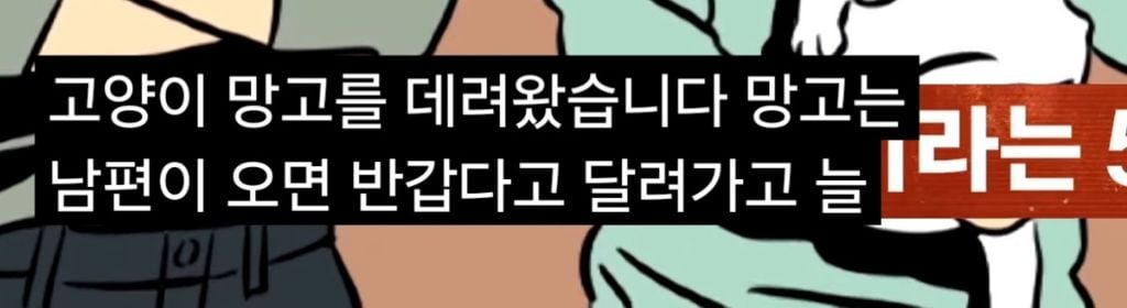 '고양이털 알레르기' 아들에게