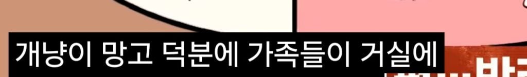 '고양이털 알레르기' 아들에게