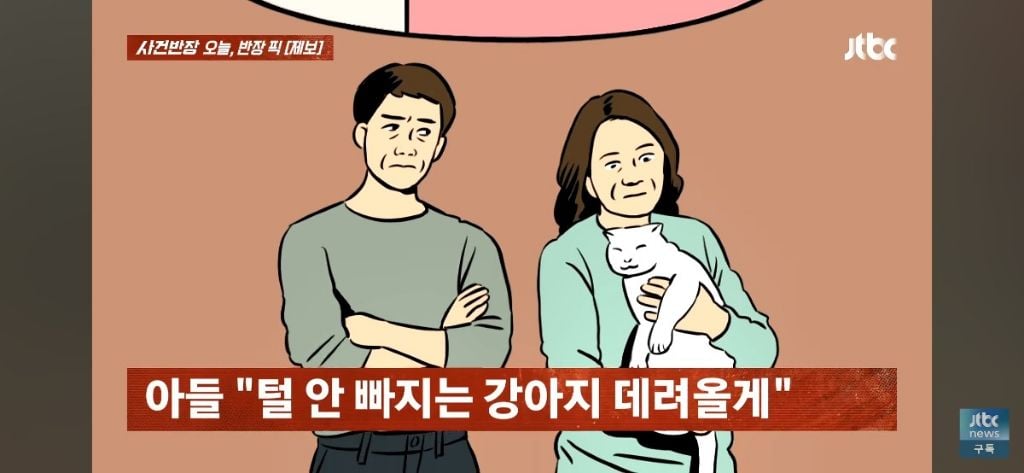 '고양이털 알레르기' 아들에게