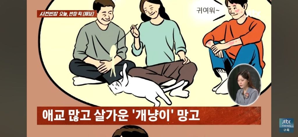 '고양이털 알레르기' 아들에게