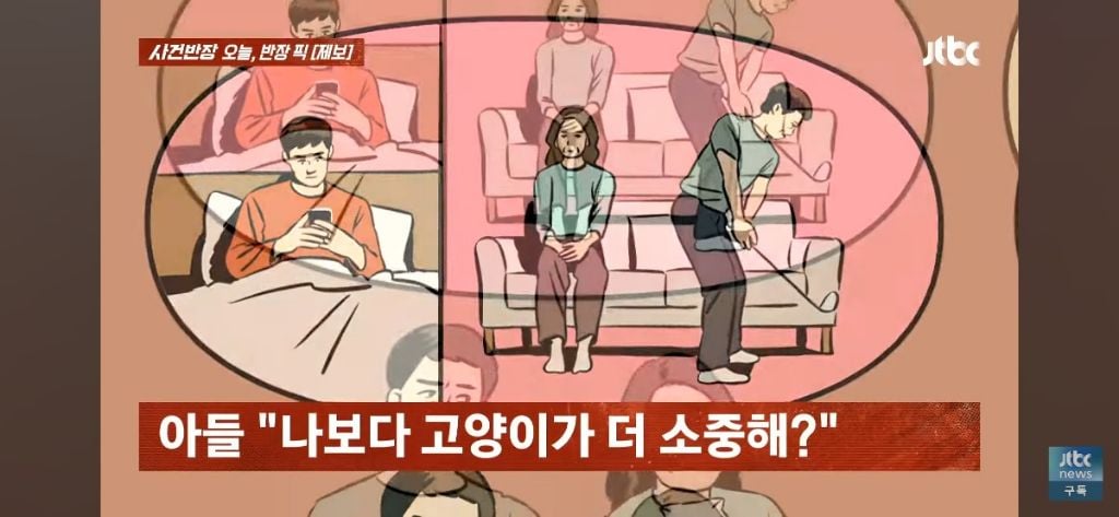 '고양이털 알레르기' 아들에게