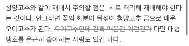 야채계의 금태양