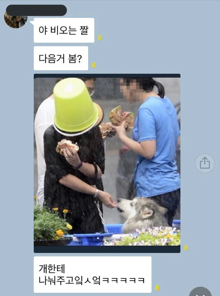 이 분은 바가지를 쓰고 비를 맞으며 햄버거를 드시고 계신가