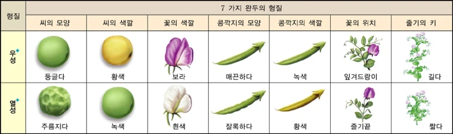 과학)에서 오해를 불러일으키기 좋은 단어들