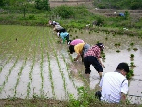 옛날 우리들의 과거