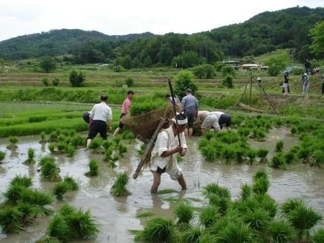 옛날 우리들의 과거