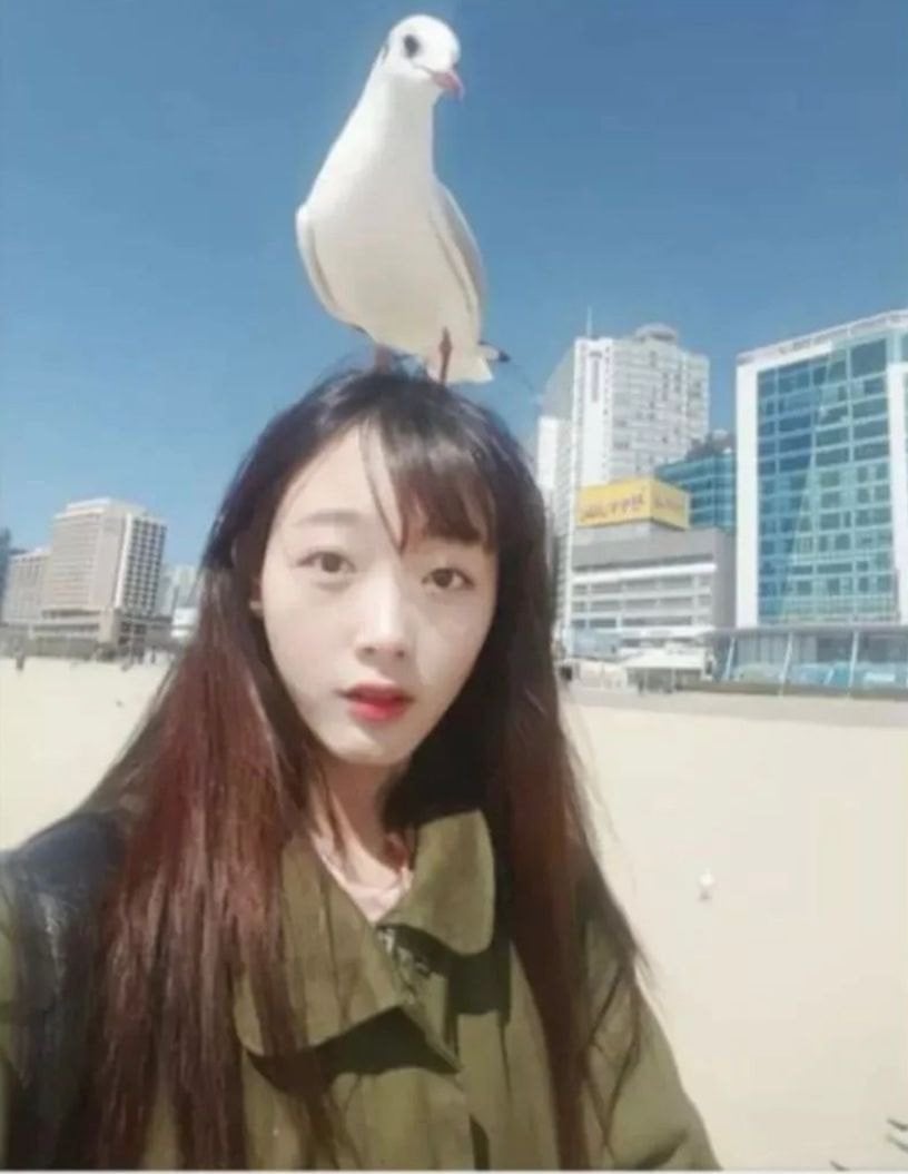 간택 당한 배우 이유미
