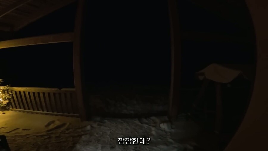 핀란드인의 하루 브이로그