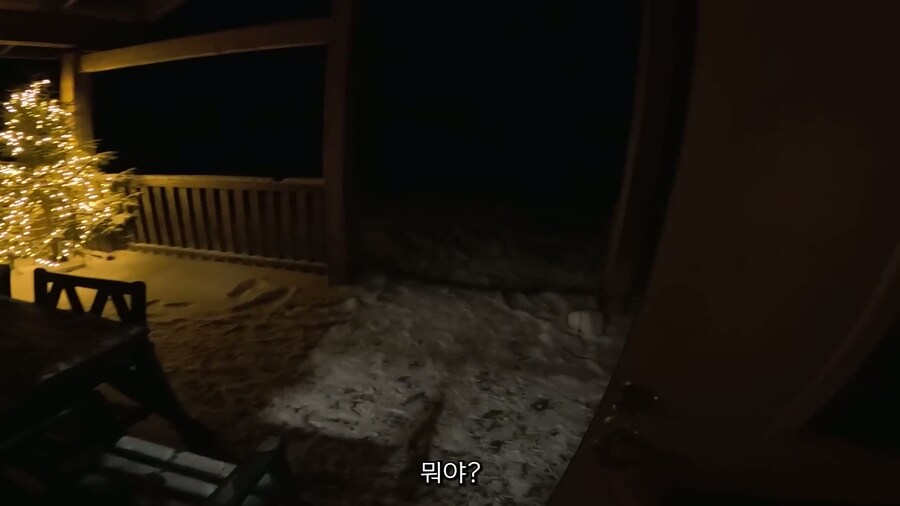 핀란드인의 하루 브이로그