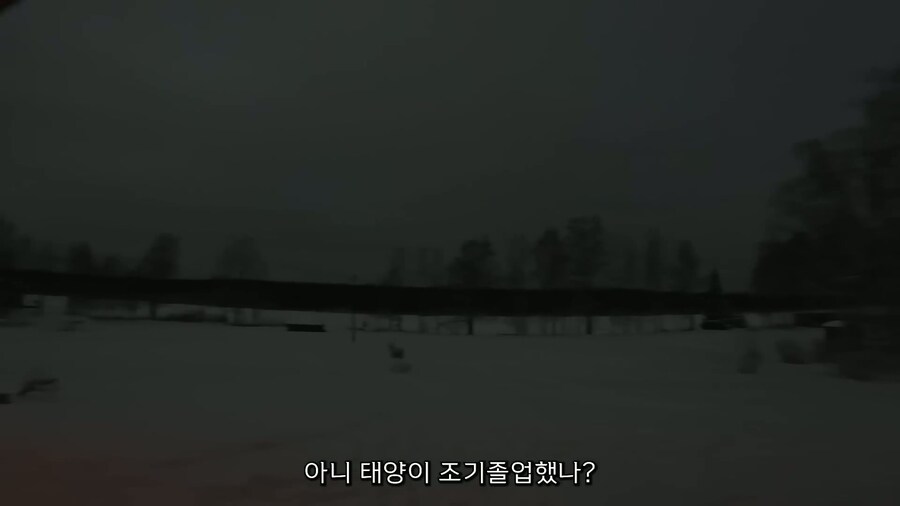 핀란드인의 하루 브이로그