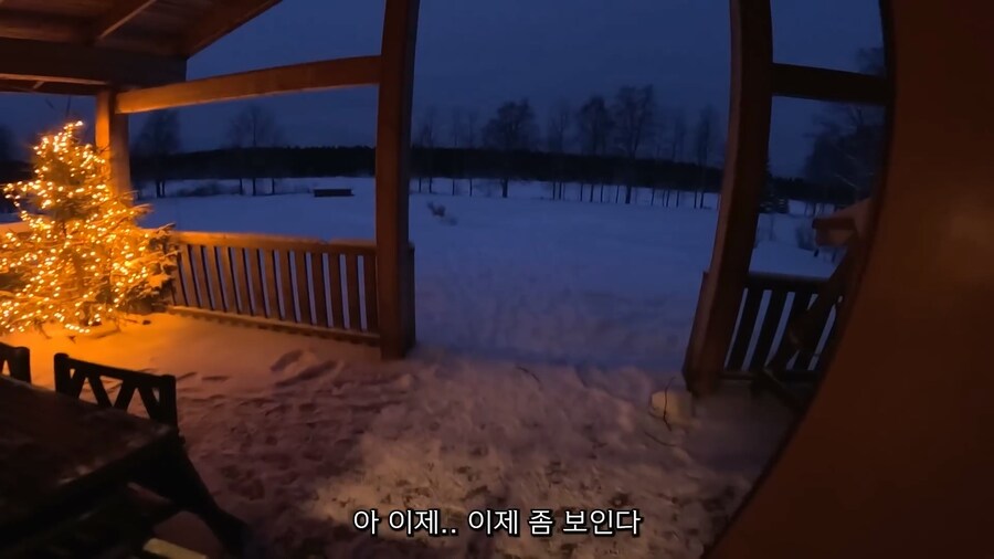 핀란드인의 하루 브이로그