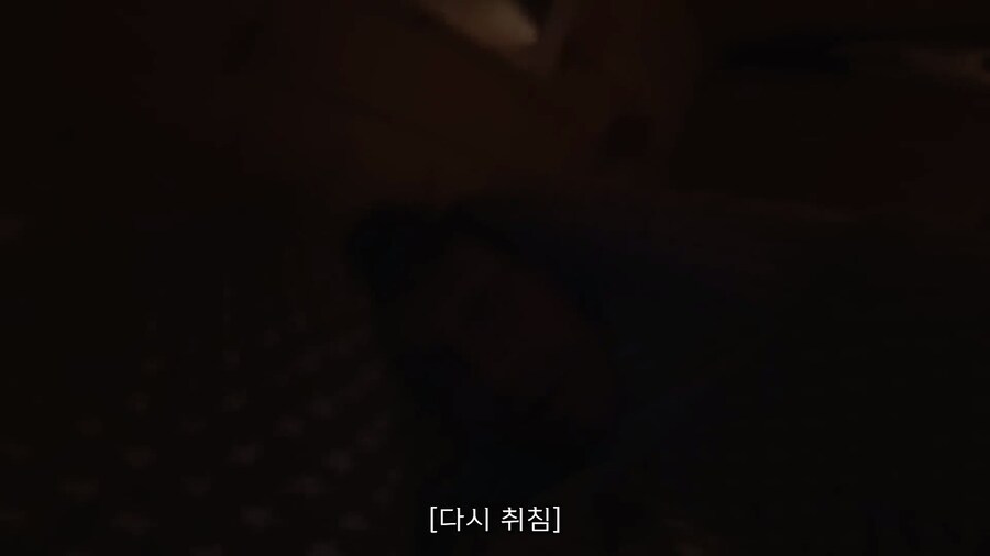 핀란드인의 하루 브이로그