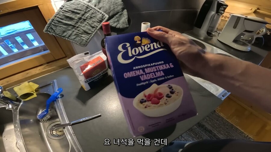 핀란드인의 하루 브이로그