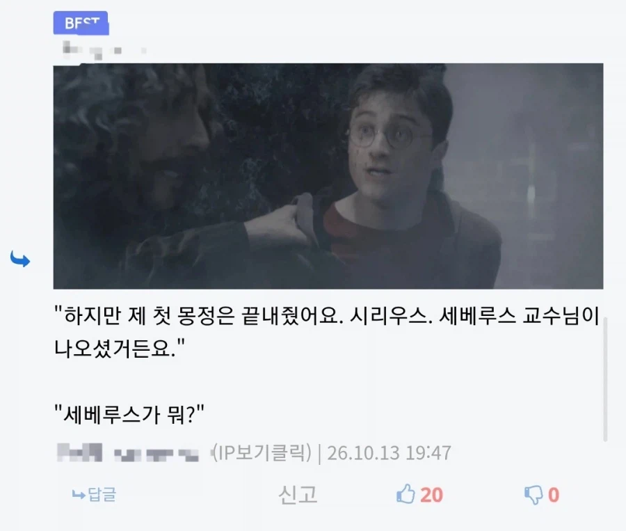 해리포터와 저주받은 어른들