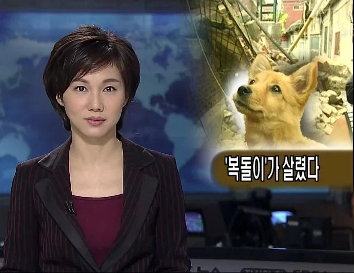 근데 복돌이가 진짜 많긴 하더라