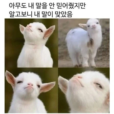 내가 가세연 김수현 기사 보고 욕하지 않은 이유.jpg