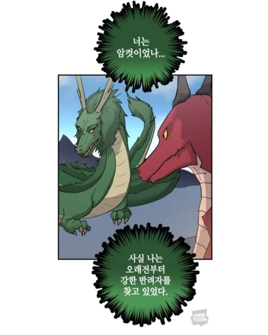 동양 용 vs 서양 용