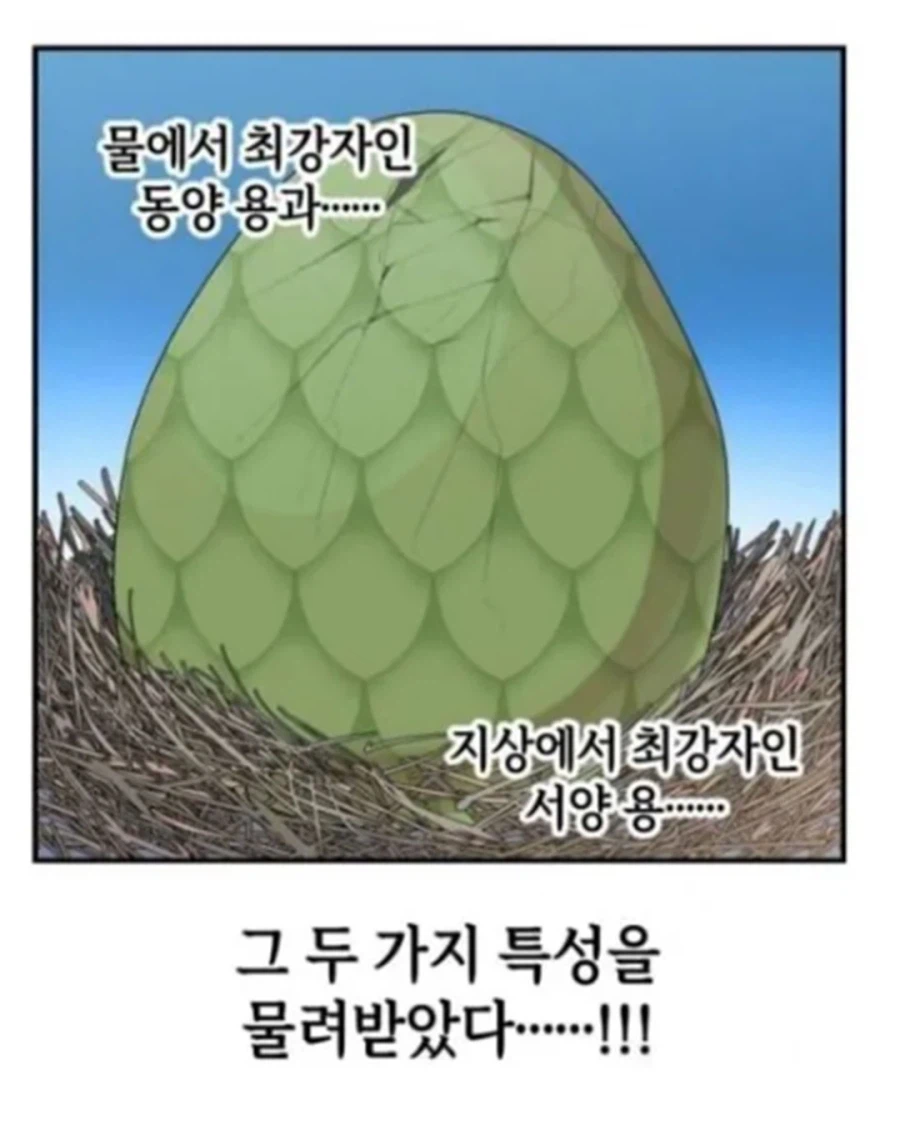 동양 용 vs 서양 용