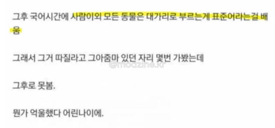 생선 사러 갔다가 욕하지 말라고 들은 사람.jpg