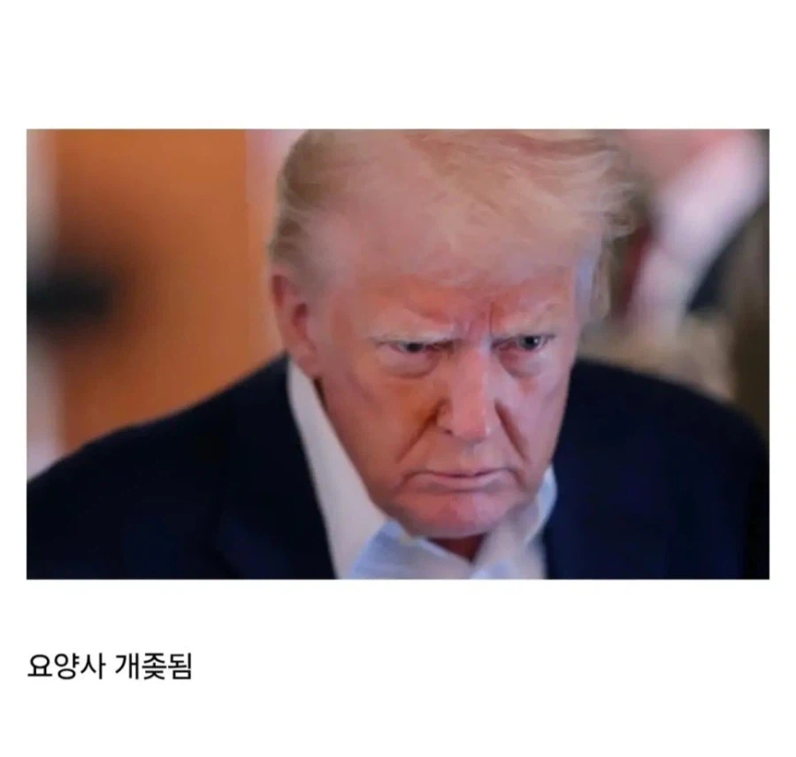 치매의 두 케이스