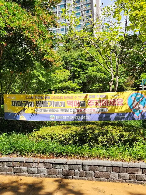 저희 동네도 캣피더때문에 너구리가 유입됬습니다