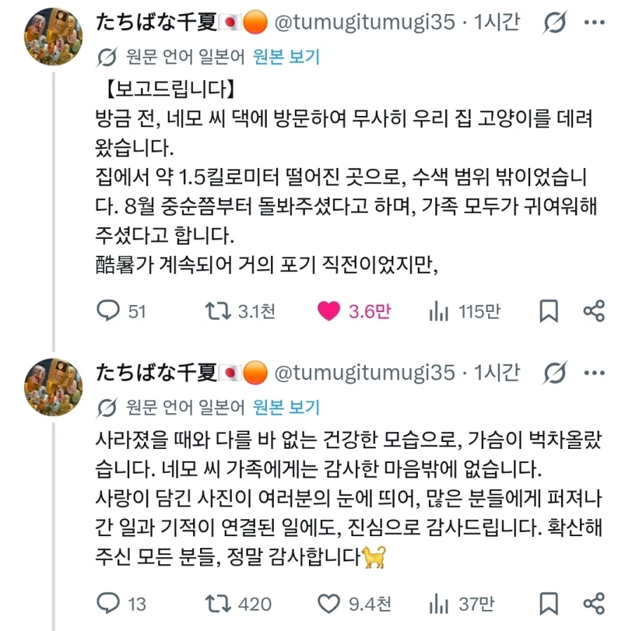 일본에서 일어난 기적의 고양이 상봉