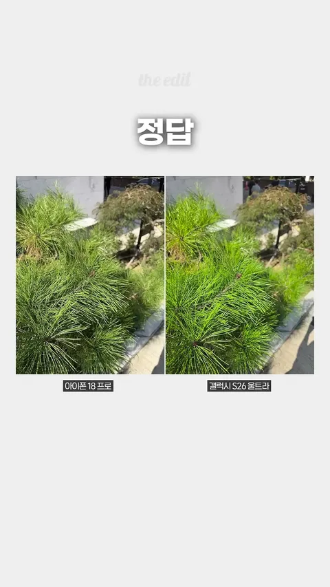 아이폰 vs 갤럭시.jpg