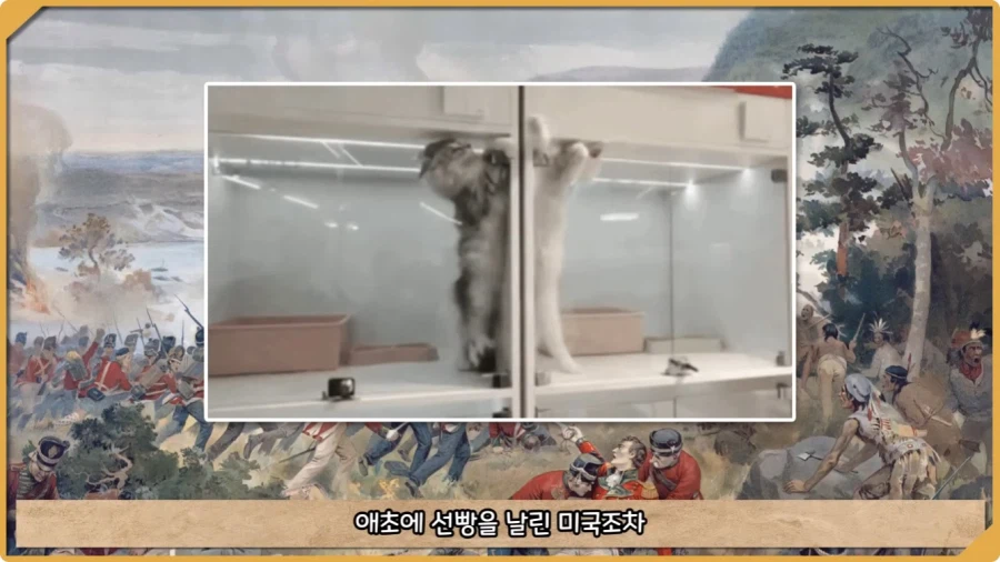 미국이 저지른 가장 황당한 요새 건설 실수.jpg