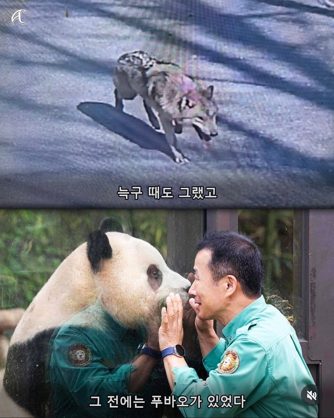부캉이 사태를 본 침착맨의 말.jpg