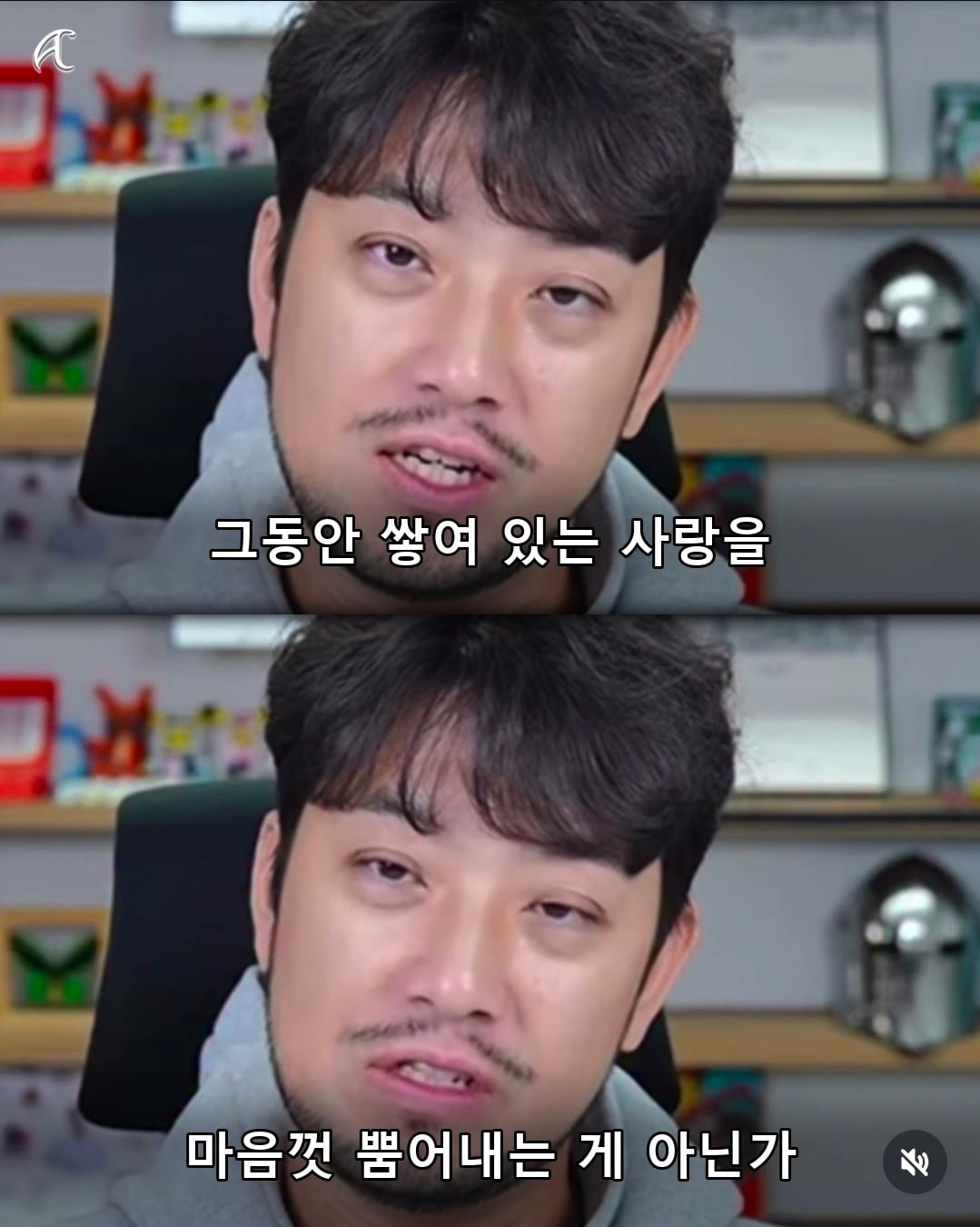 부캉이 사태를 본 침착맨의 말.jpg
