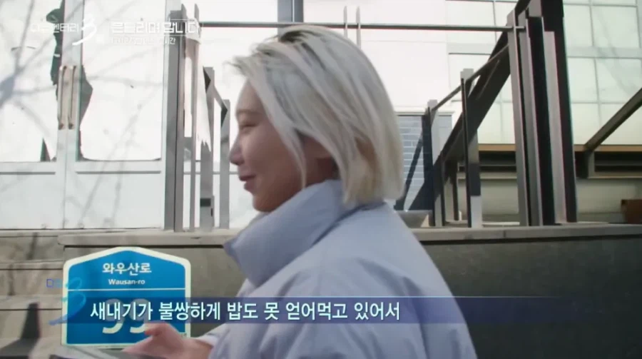 다큐3일 쿨한 홍대 누나.jpg