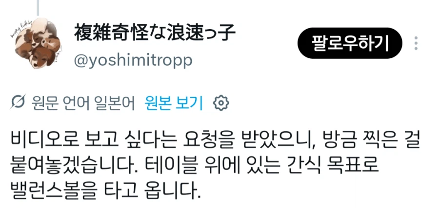 X에서 좋아요 7만개 받은 강아지