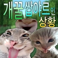 풀스윙으로 문닫던 옆집 출산함