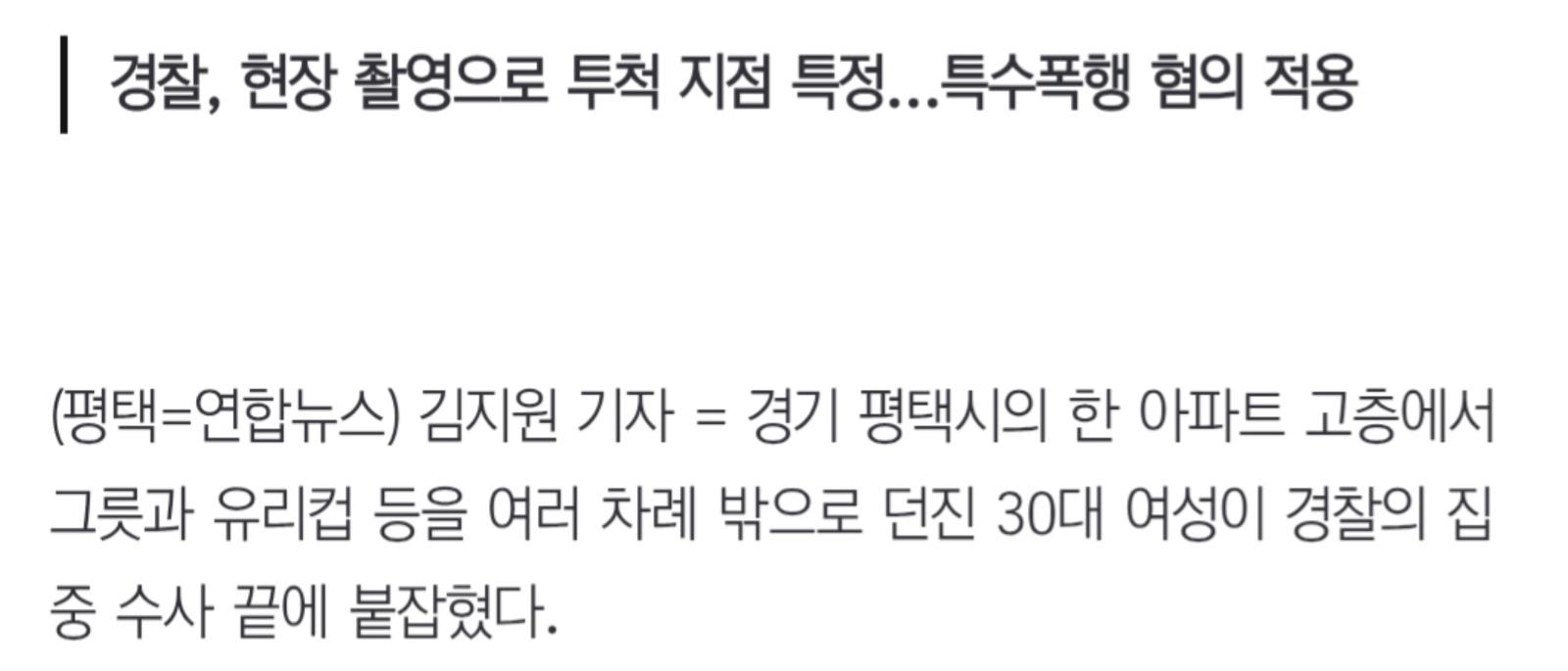아파트 고층서 그릇 던진 30대 여성 체포 스트레스 많아서..