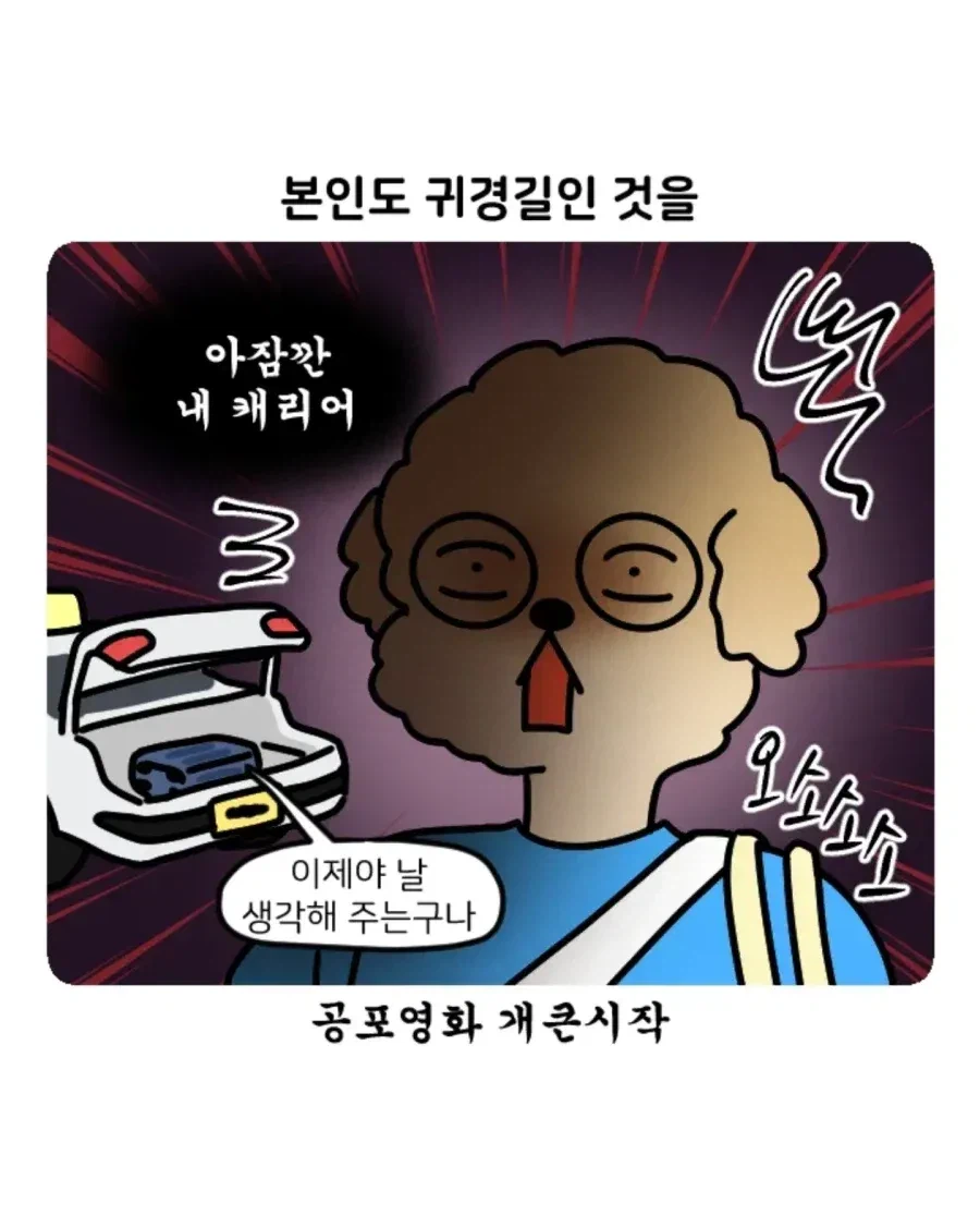 부캉이 보러갔다가 부산택시 경험한 만화.jpg