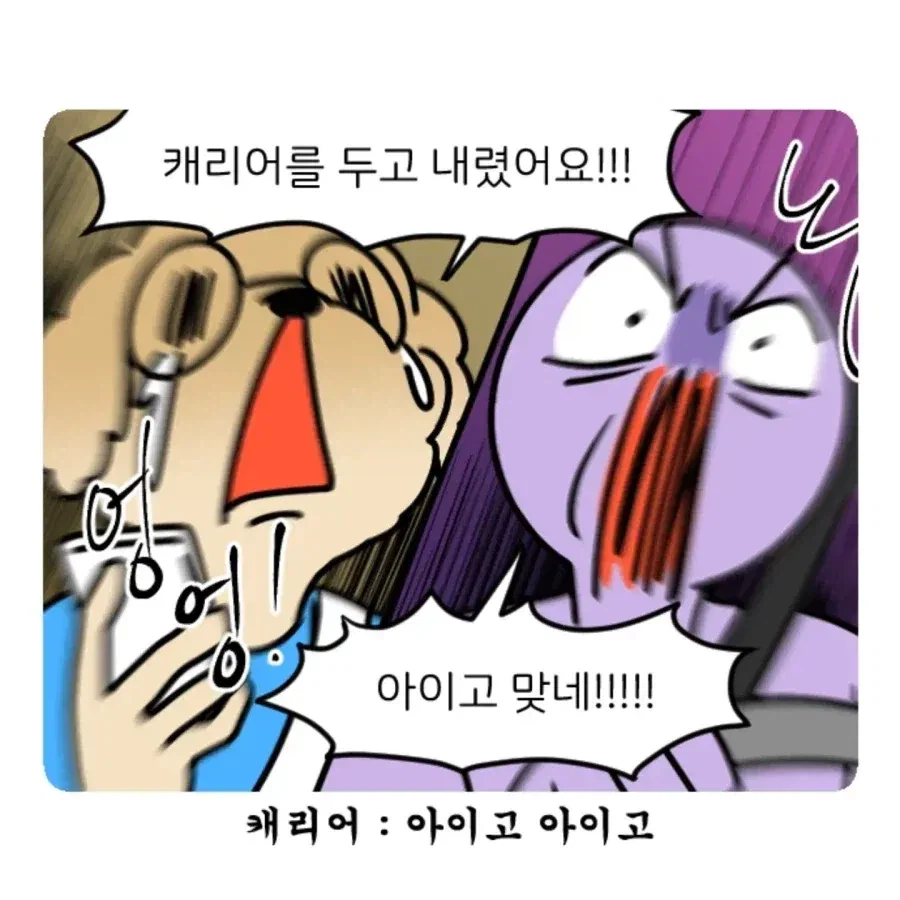 부캉이 보러갔다가 부산택시 경험한 만화.jpg